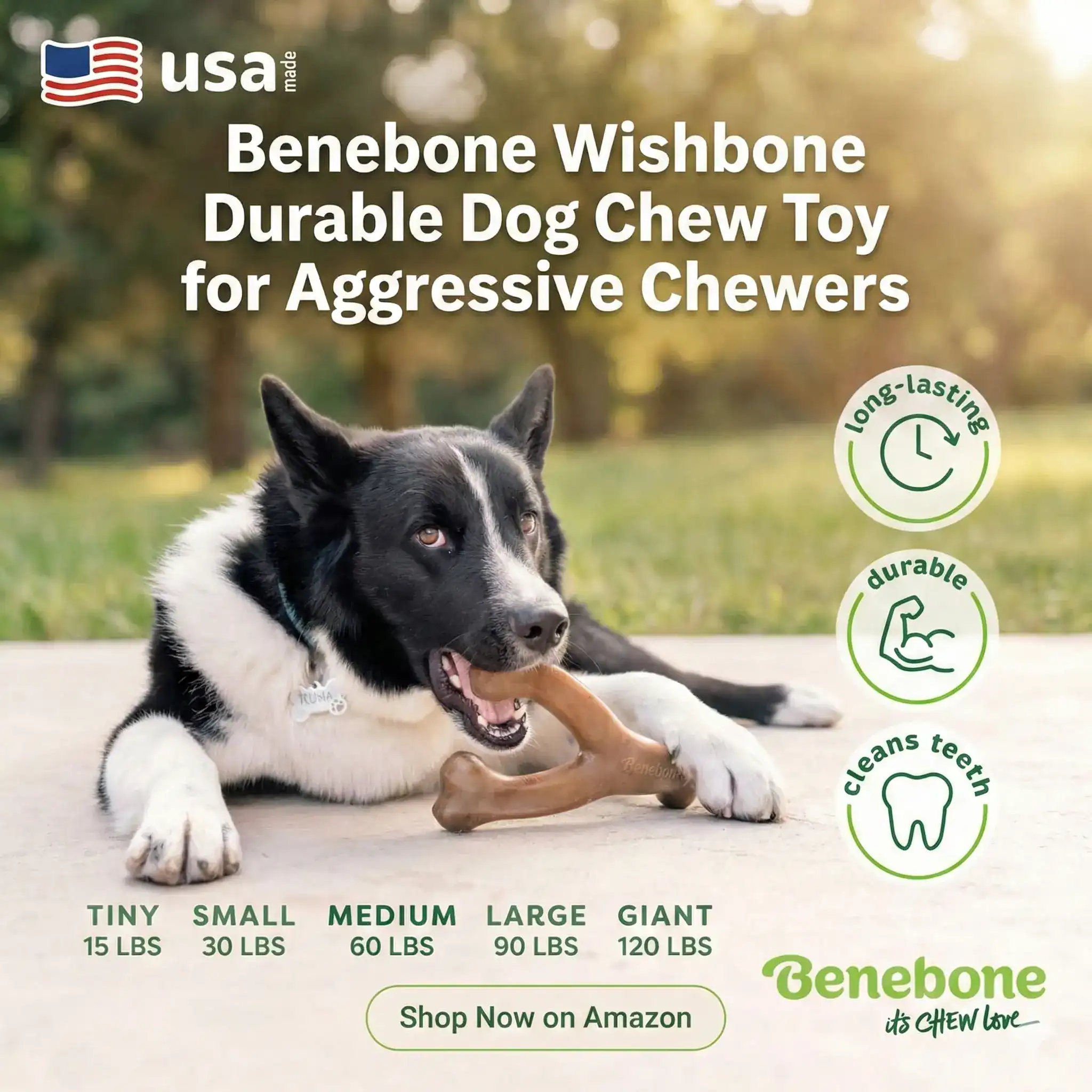 Benebone Wishbone Durable Dog Chew Toy for Aggressive Chewers