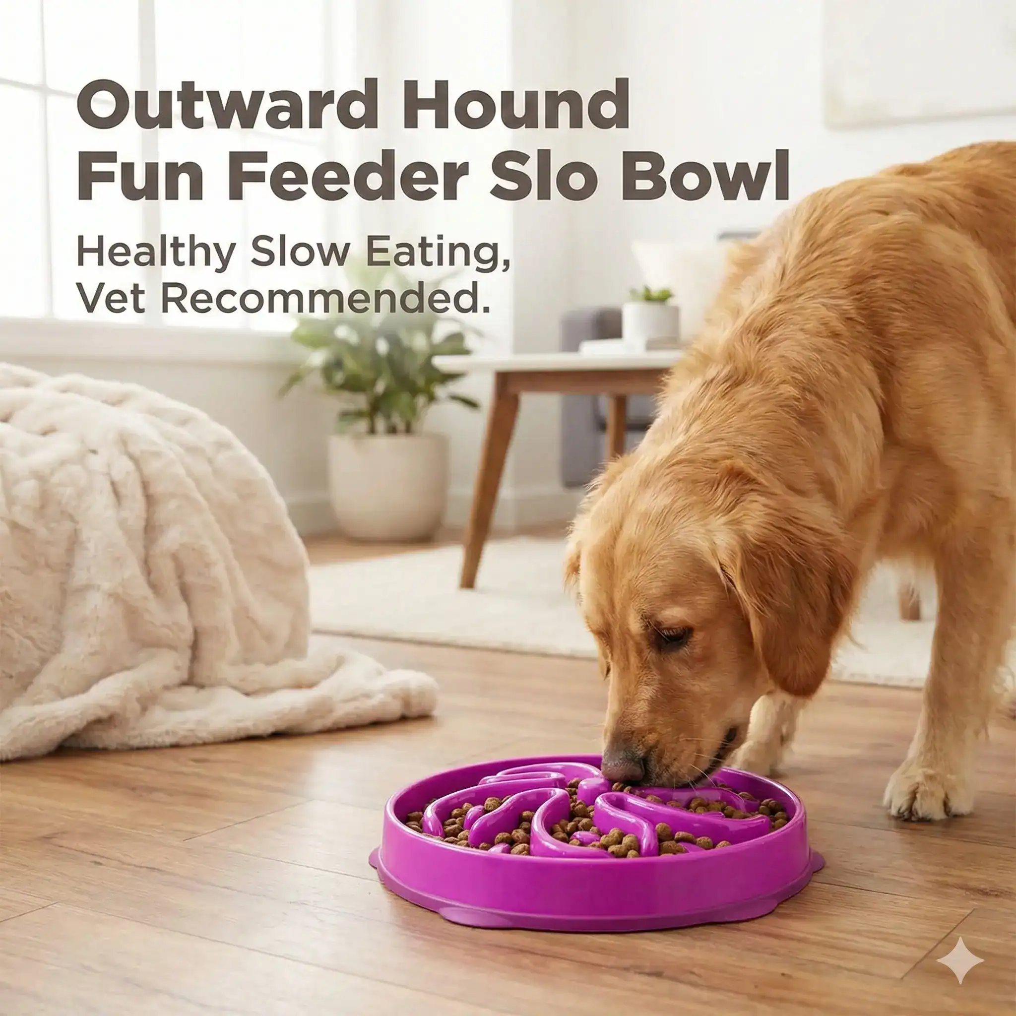 Outward Hound Fun Feeder Slo Bowl