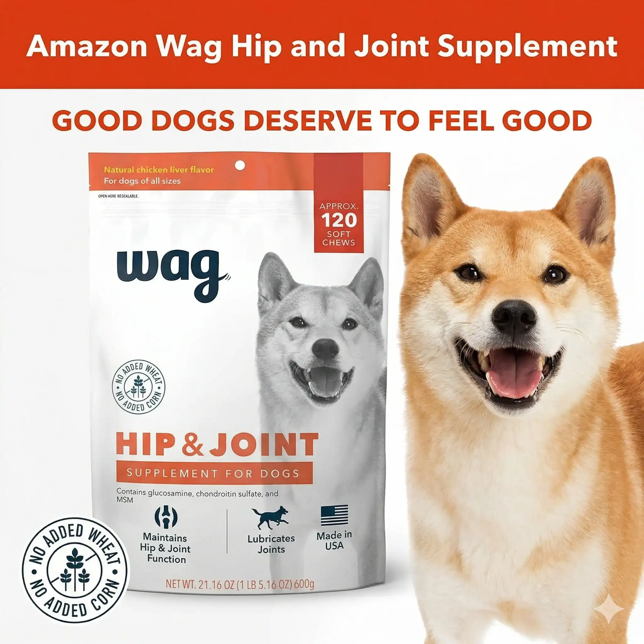 Amazon Wag Hip and Joint Supplement