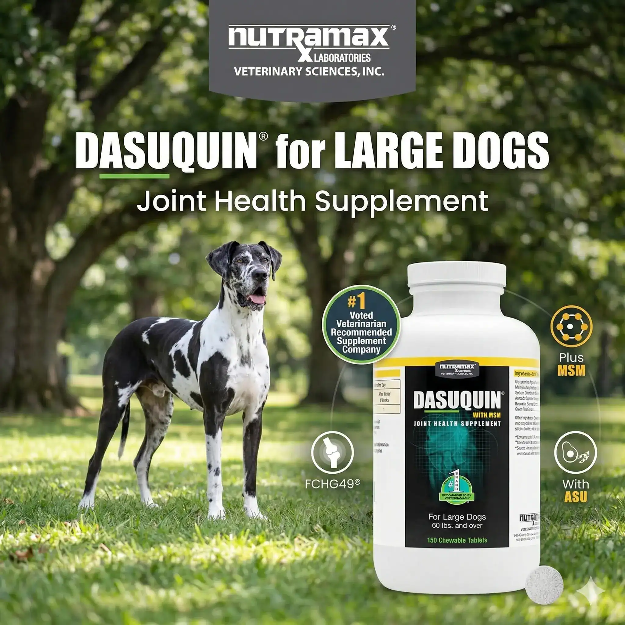 Nutramax Dasuquin Joint Health Supplement for Large Dogs