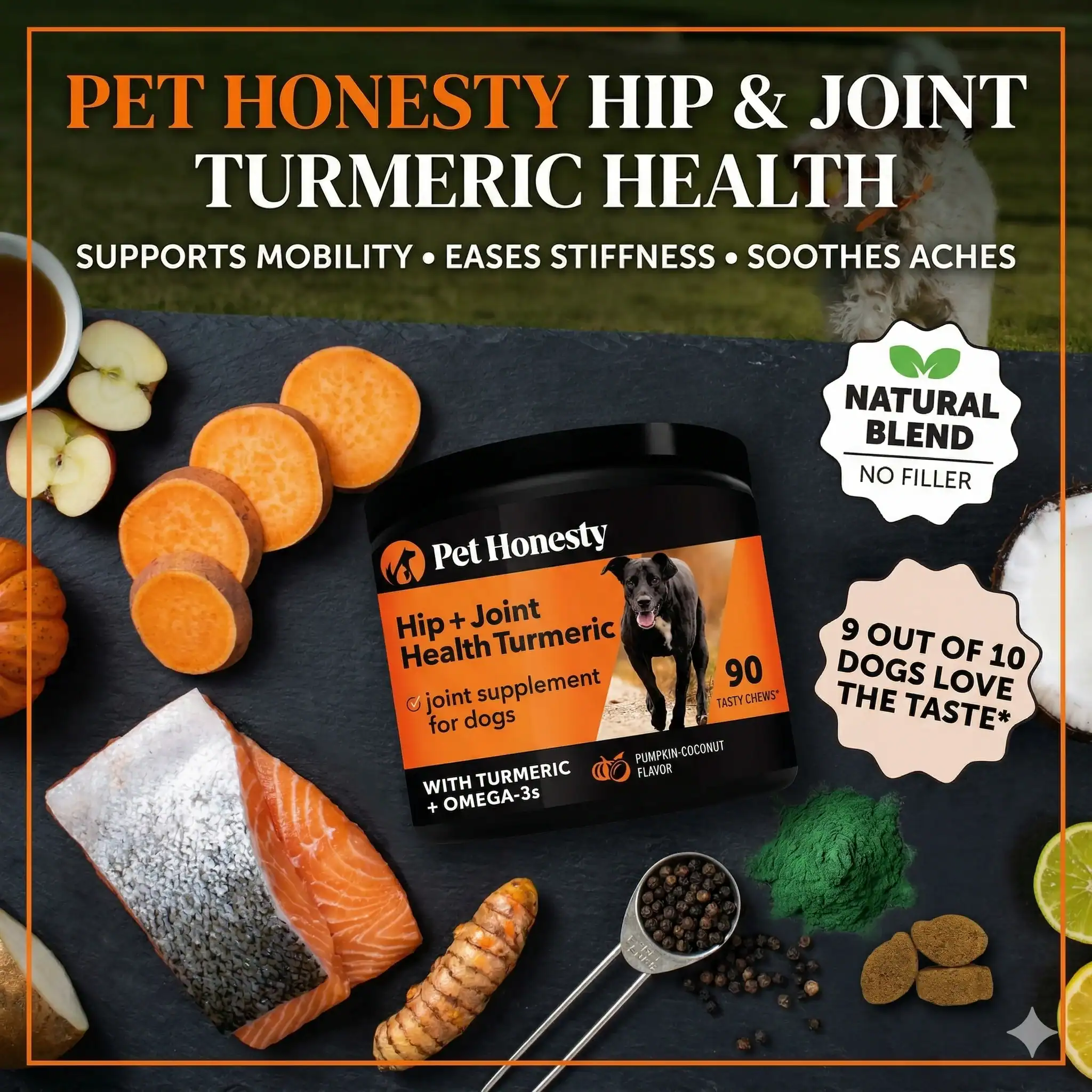 PetHonesty Hip and Joint Turmeric Health