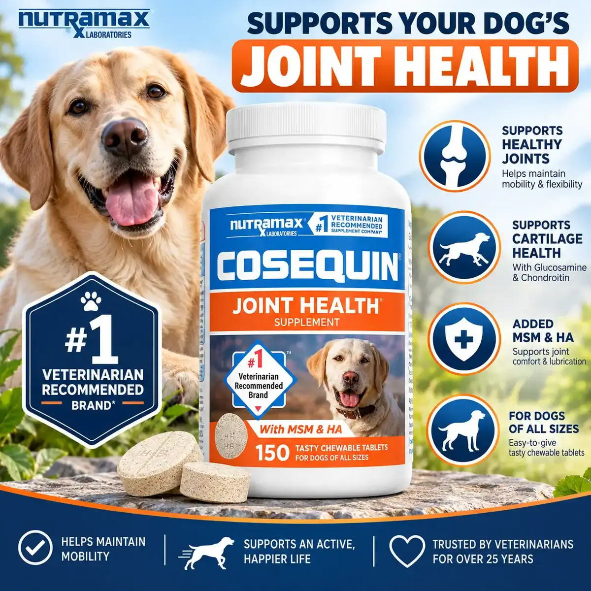 Nutramax Cosequin Joint Supplement for Dogs, MSM+HA, Chew Tablets, 150ct