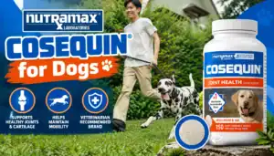 Nutramax Cosequin for Dogs joint health supplement with a man walking a Dalmatian in a park.