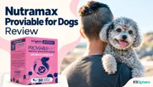 Person holding a small fluffy dog outdoors with Nutramax Proviable box in the foreground.