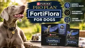 Purina Pro Plan FortiFlora for Dogs probiotic supplement packaging with a dog in background.